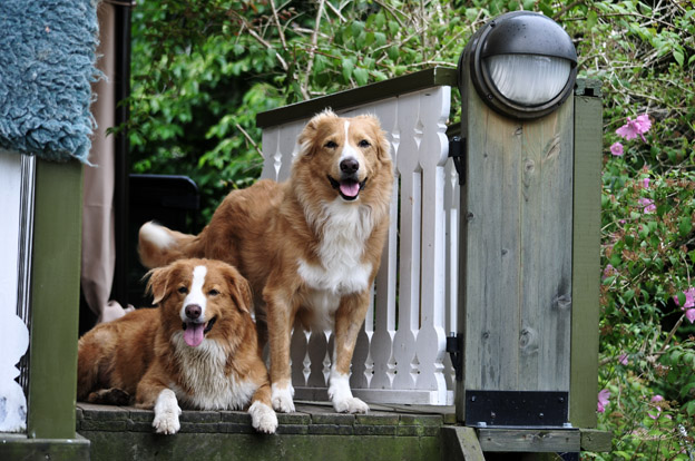 Wunja & her brother Poppe, July 2012